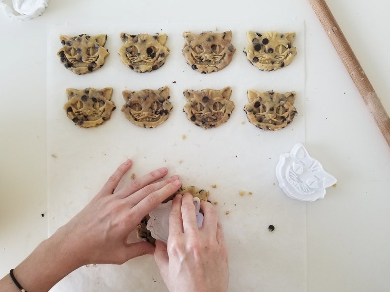 May include: Close-up of cookie dough cut into the shape of a cat's face, with chocolate chips. A white cat-shaped cookie cutter is used to cut out the cookies. The cookies are on a white surface.