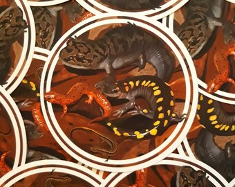 Tiger Salamander Etsy