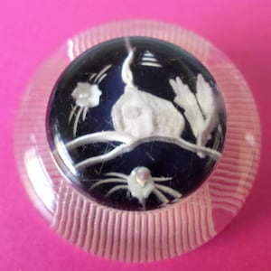 May include: A clear glass button featuring a black and white design of a rabbit on a blue background. The button has a raised, textured edge.