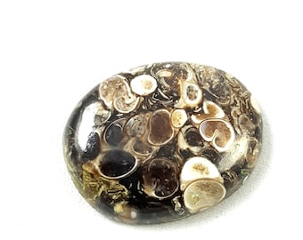 TURTELLA JASPER GEMSTONE 40.75 Carat Natural Jasper Turtella Smooth Cabochon Attractive Design Oval Shape Loose Gemstone 30.75x24.50x6.50MM