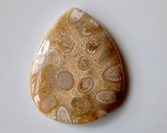 DESIGNER FOSSIL CORAL Gemstone 57Ct Natural Fossil Coral Cabochon Pear Shape Perfect Jewelry Making Fossil Coral Loose Gemstone 38x31x6MM