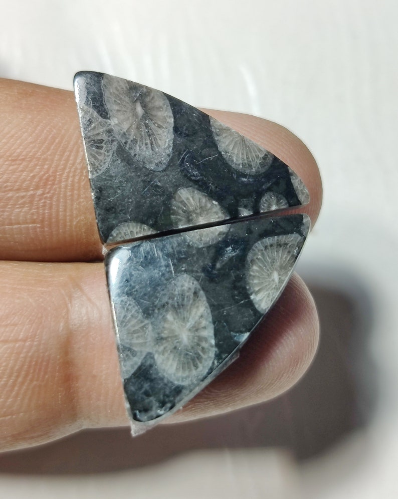 BLACK FOSSIL GEMST5ONE 18CT High Quality Natural Fossil Cabochon Pair Set Perfect Earring Size Black Fossil Loose Gemstone Jewelry 20x16x3MM