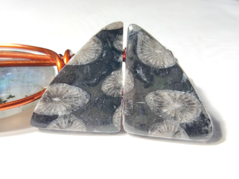 BLACK FOSSIL GEMST5ONE 18CT High Quality Natural Fossil Cabochon Pair Set Perfect Earring Size Black Fossil Loose Gemstone Jewelry 20x16x3MM