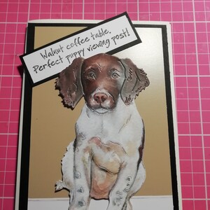 Una hermosa y divertida tarjeta hecha a mano de 5x7 con un Springer Spaniel y el sentimiento: mesa de centro de nogal. Puesto perfecto para ver cachorros.