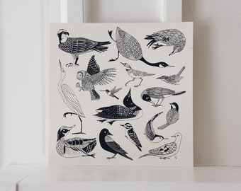 New England Birds | 8"x8" | Screen-printed Poster I Vermont Made | Fundraising for Cause