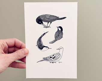 Backyard Birds | Original Art | 7"x4.75" | Pen and Ink Drawing | Unframed
