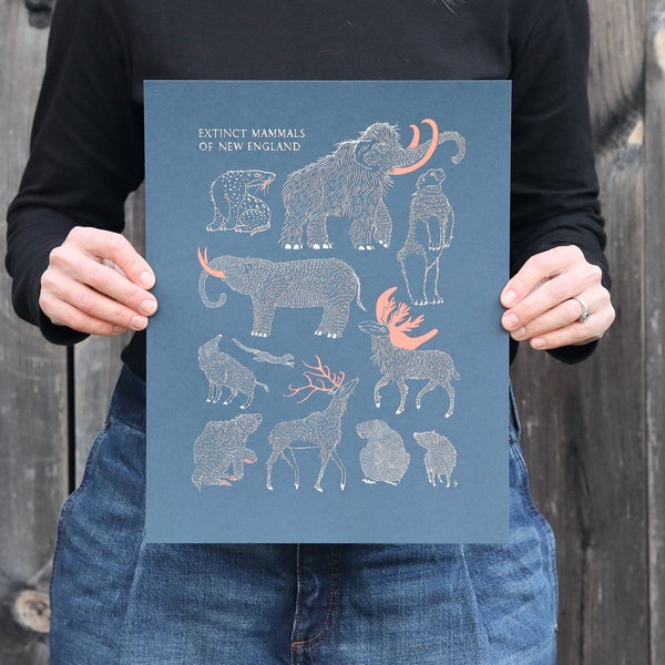 Extinct Mammals of New England | Screen-printed Poster | 11"x14" | Vermont-made | Fundraising for Cause