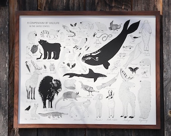 A Compendium of Wild Animals in the United States | Screen-Print | 16"x20" | Vermont-Made | Fundraising for Cause