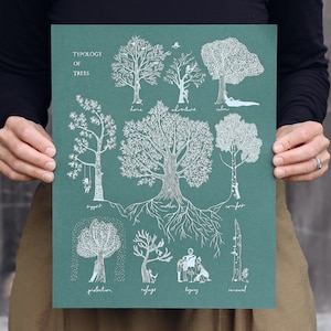 May include: A green poster with white illustrations of different types of trees. Each tree is labeled with a word describing its purpose, such as "home", "adventure", "calm", "support", "comfort", "protection", "refuge", "healing", and "renewal".
