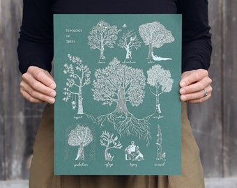 Typology of Trees | Screen-printed Poster | 11"x14" | Vermont-made | Fundraising for Cause