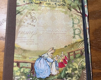 Journal de la belle journée de Pierre Lapin