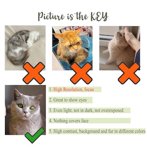May include: An instructional graphic titled Picture is the KEY featuring four cat photos. Three photos marked with orange X symbols show poor lighting or obscured faces. One photo marked with a green check shows a clear cat face with green eyes.
