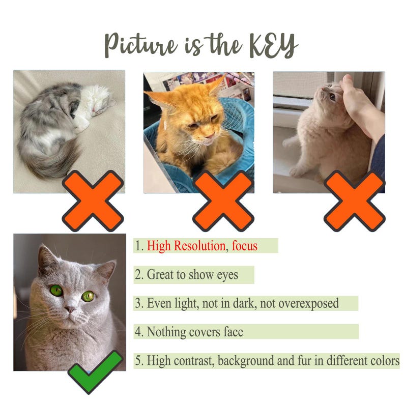 May include: An instructional graphic titled Picture is the KEY featuring four cat photos. Three photos marked with orange X symbols show poor lighting or obscured faces. One photo marked with a green check shows a clear cat face with green eyes.