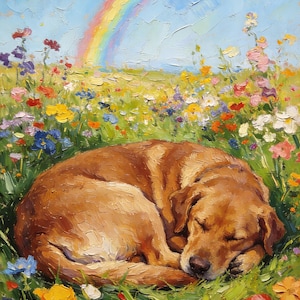 May include: An oil painting depicting a golden-brown dog curled up and sleeping in a vibrant field of colorful wildflowers. A bright rainbow arches across the light blue sky above the meadow, rendered with thick, textured brushstrokes.