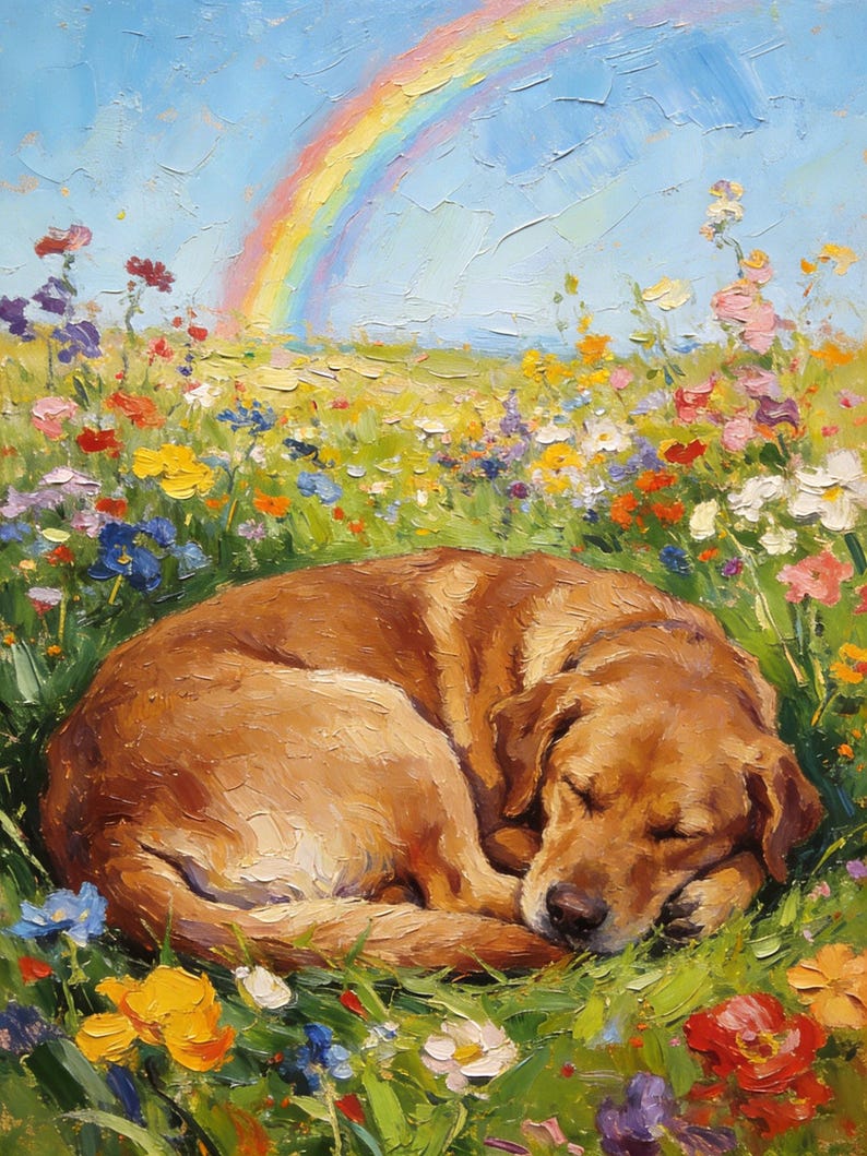 May include: An oil painting depicting a golden-brown dog curled up and sleeping in a vibrant field of colorful wildflowers. A bright rainbow arches across the light blue sky above the meadow, rendered with thick, textured brushstrokes.