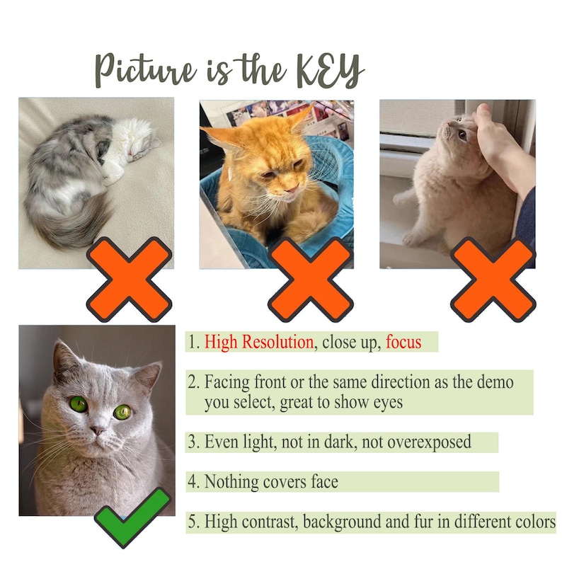 Op de afbeelding: Drie foto's van katten, elk met een rood kruis eroverheen. De tekst "Picture is the KEY" staat bovenaan de afbeelding. Onder de foto's staan vijf genummerde richtlijnen voor het maken van goede foto's van katten. De richtlijnen zijn: 1. Hoge resolutie, close-up, scherpte 2. Van voren of in dezelfde richting als de demo die je selecteert, geweldig om de ogen te laten zien 3. Gelijkmatig licht, niet in het donker, niet overbelicht 4. Niets bedekt het gezicht 5. Hoog contrast, achtergrond en vacht in verschillende kleuren.