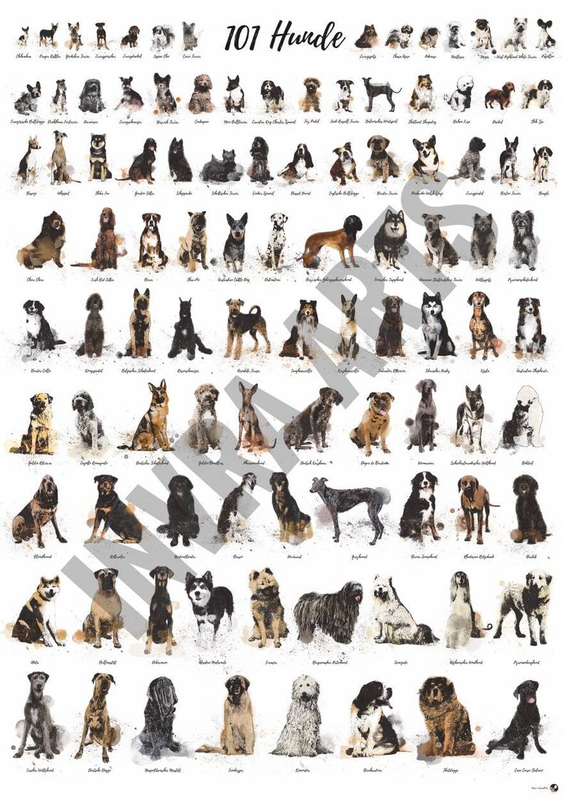 Poster 101 Dog Breeds Chart Dogs Watercolour Style Inkstyle | Etsy