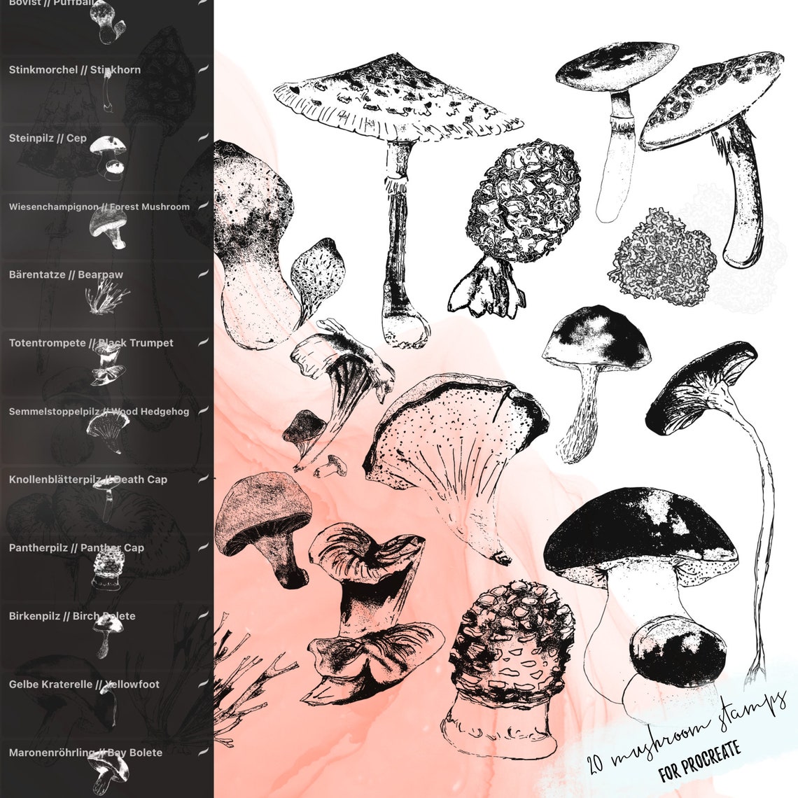 20 Mushroom Stamps Brushes for Procreate Ink Style High - Etsy UK