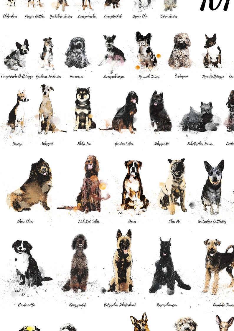Poster 101 Hunderassen chart Hunde watercolour style inkstyle - Etsy.de