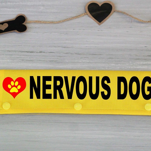 NERVOUS DOG Leash Wraps Dog Gear Nervous Dog Accessories Etsy