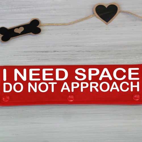 NERVOUS DOG Leash Wraps Dog Gear Nervous Dog Accessories Etsy