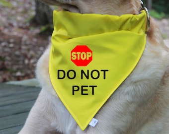 May include: A yellow dog bandana with a red stop sign and the text "STOP DO NOT PET".
