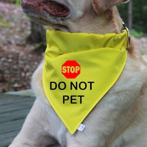 Dog Over the Collar Bandana STOP Do not Pet: CANVAS FABRIC