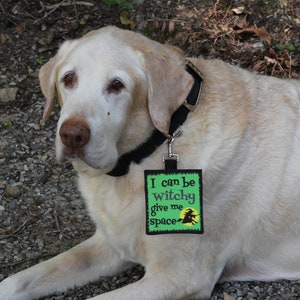May include: A light-colored Labrador Retriever wearing a black collar with a green and black tag. The tag reads "I can be witchy give me space" with a silhouette of a witch on a broom.