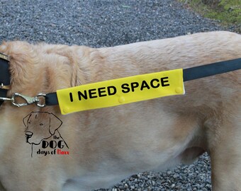 australian labradoodle wavy fleece coat