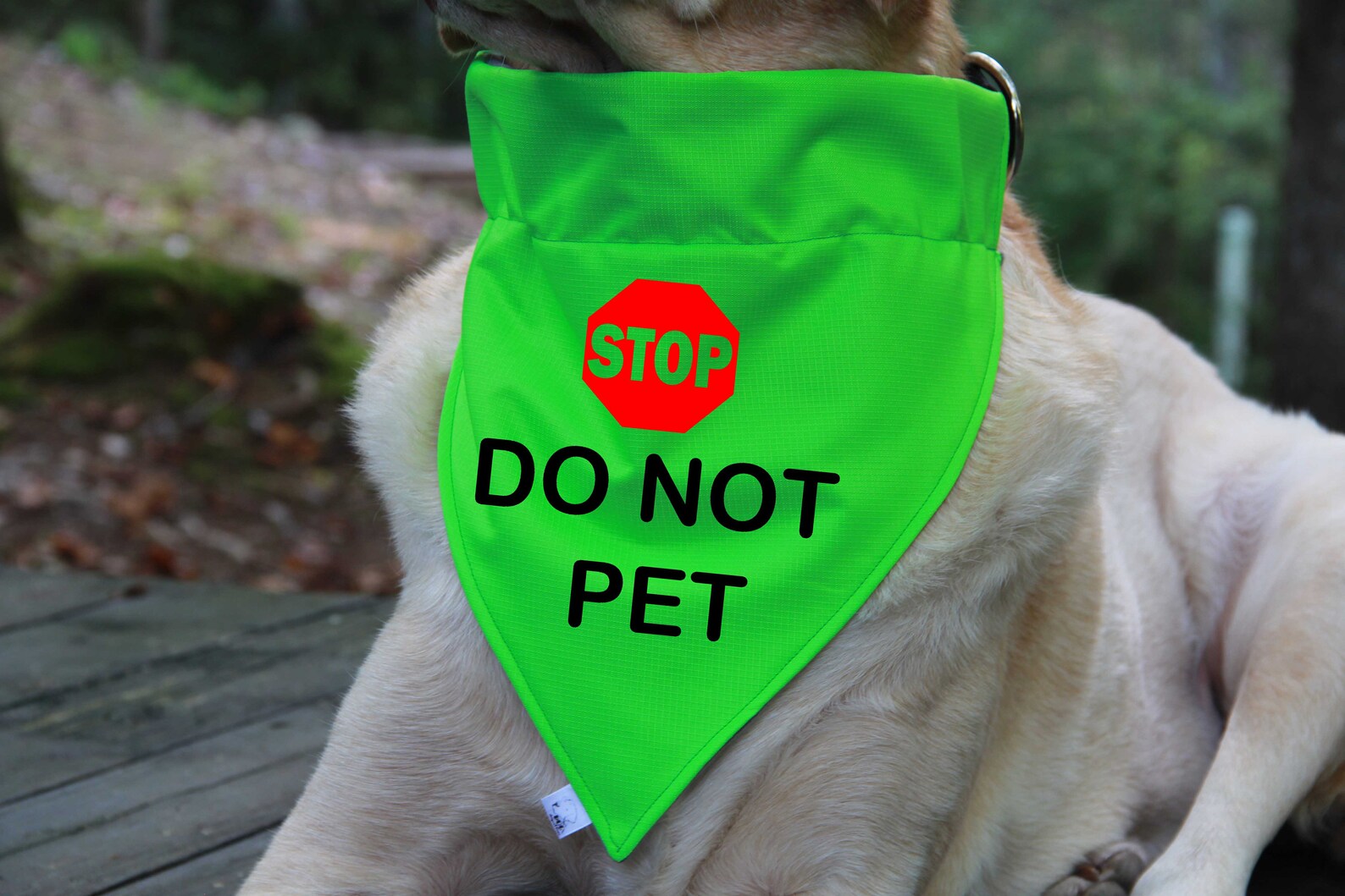Dog Over the Collar Bandana STOP Do Not Pet Bandana Rescue Etsy
