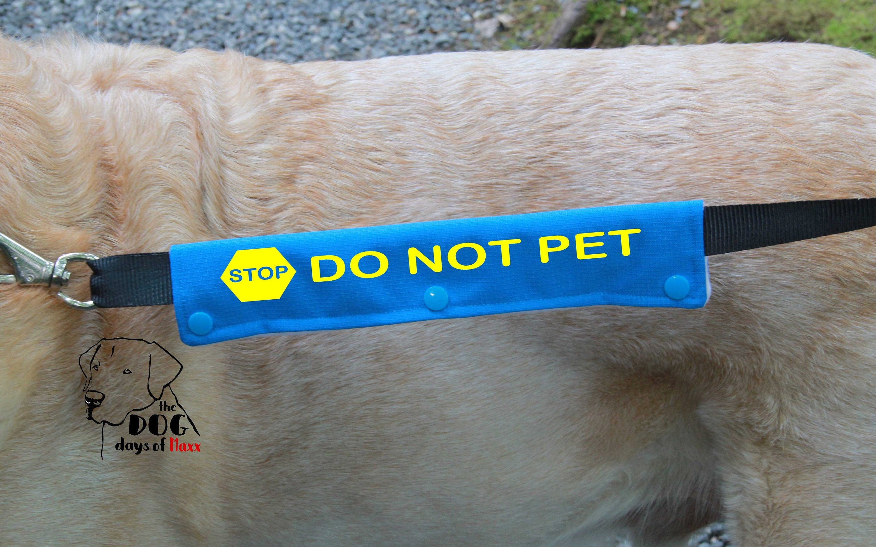 Dog Leash Sleeve DO NOT PET leash wrap Slim Size Fits Etsy