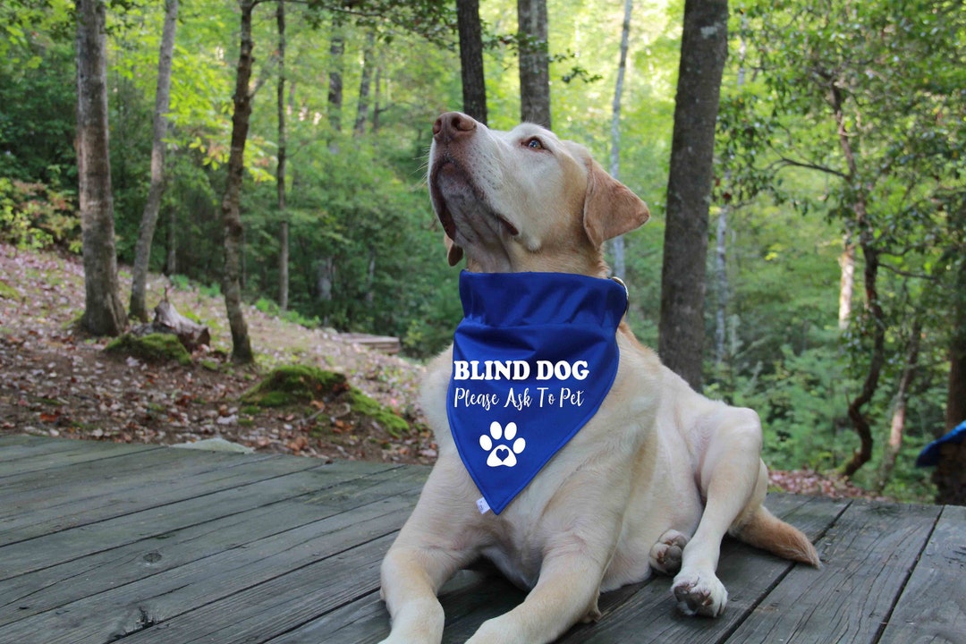 Blind Dog Bandana, Over the Collar Bandana, Blind Dog Bandanas