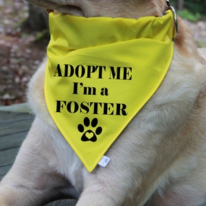 Op de afbeelding: Een gele hondenbandana met zwarte tekst die "Adopteer mij, ik ben een pleegdier" zegt en een zwarte pootafdruk met een hart in het midden.