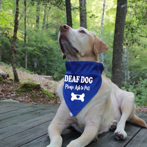 Deaf Dog Over the Collar Bandana | CANVAS fabric