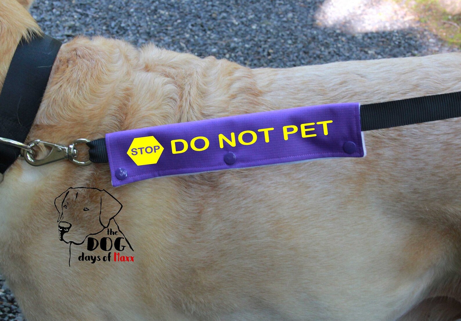 Dog Leash Sleeve DO NOT PET Leash Wrap Stop Do Not Pet Etsy