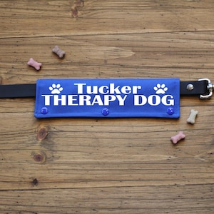 May include: A blue dog leash wrap with the text "Tucker THERAPY DOG" in white, along with paw print graphics. The wrap is attached to a black leash with a silver metal clasp. Small dog treats are scattered around the leash.