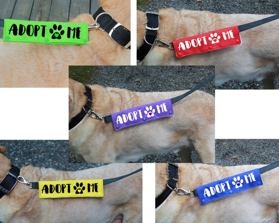 leash wraps