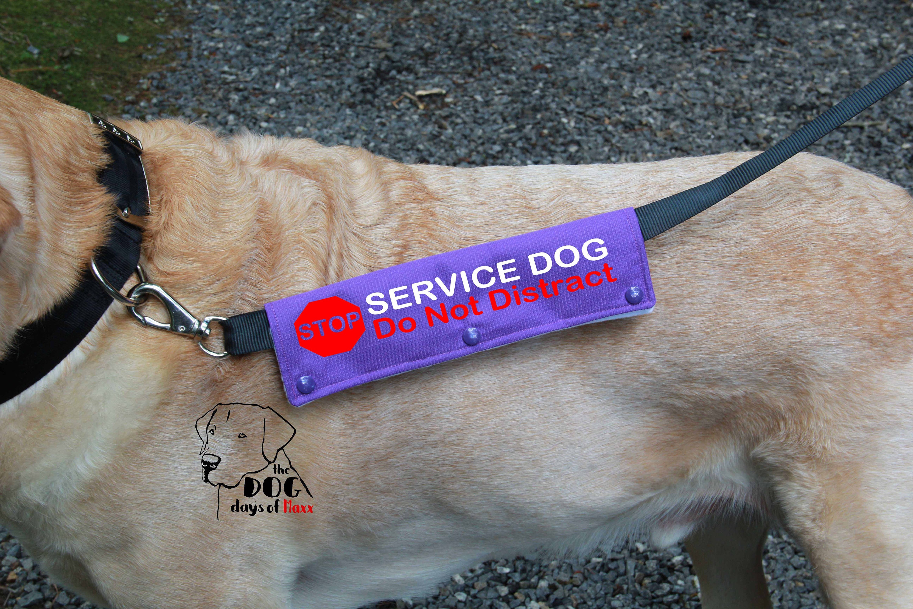 Service Dog Leash Wrap Leash Sleeve Classic size 3 snap Etsy