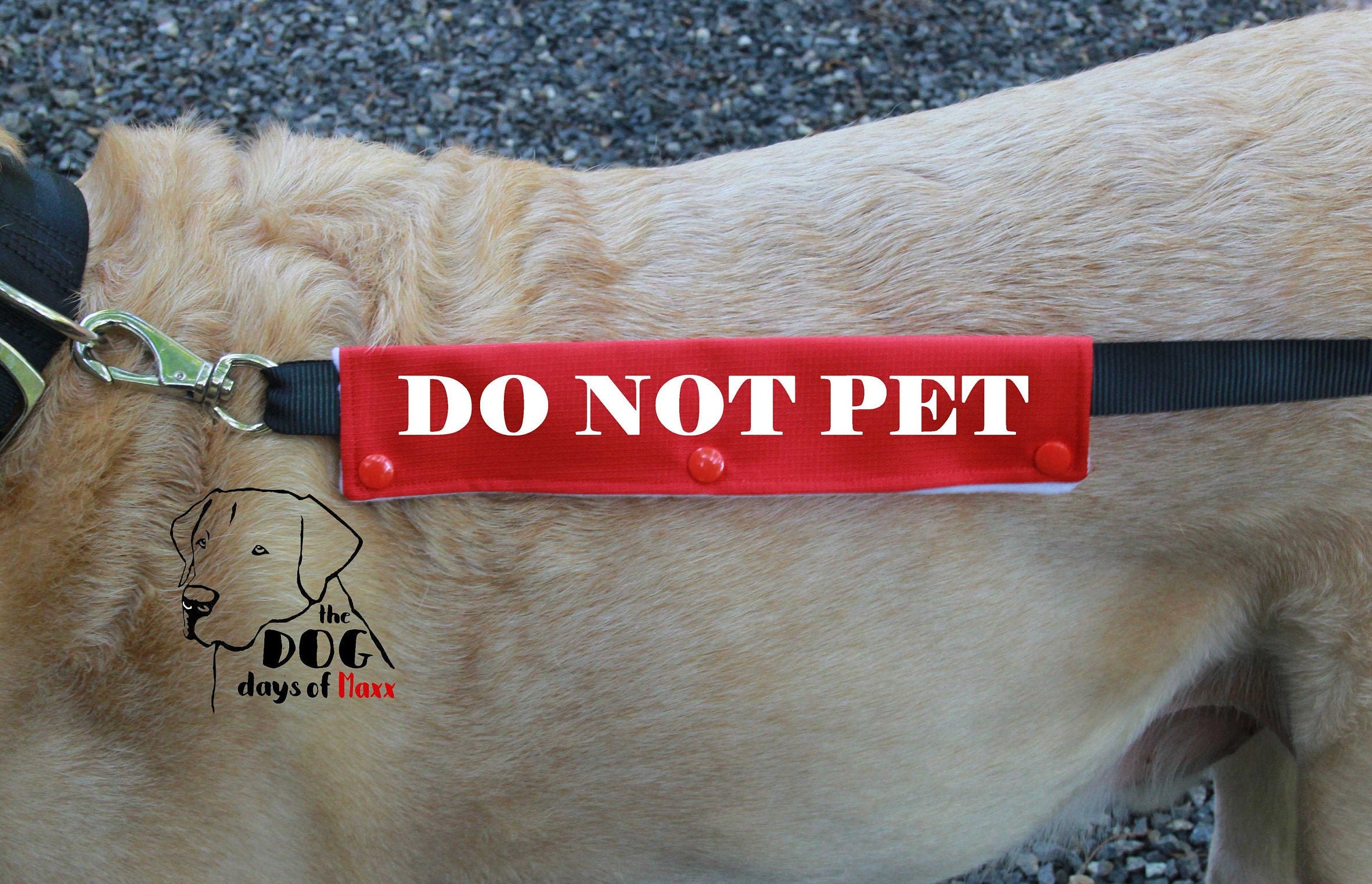Dog Leash Sleeve DO NOT PET leash wrap 3 Size Options Do Etsy