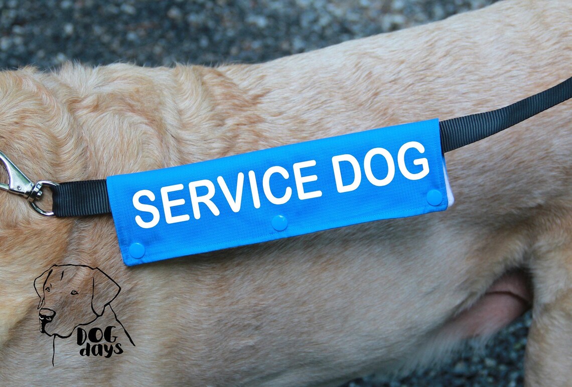 Leash sleeve or collar wrap. Service Dog Leash wrap Classic Etsy