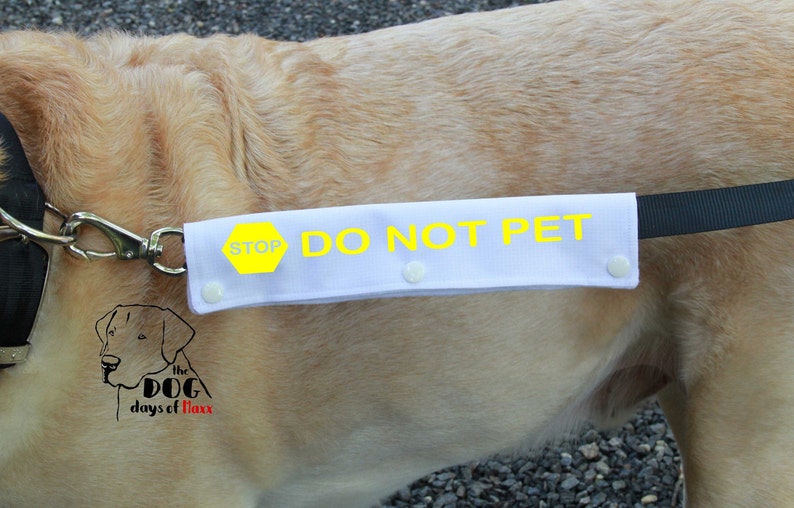 Dog Leash Sleeve DO NOT PET leash wrap Slim Size Fits Etsy