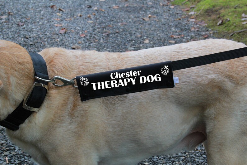 Leash sleeve or collar wrap Therapy Dog Leash wrap Etsy