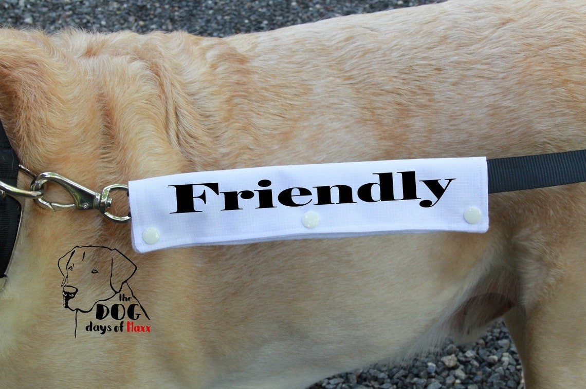 Dog Leash Sleeve Friendly leash wrap Slim Size Fits 1 Etsy