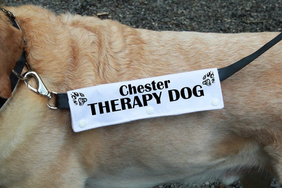 therapy dog leash