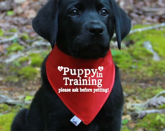 Puppy In Training Over the Collar Bandanas for Puppy | CANVAS fabric