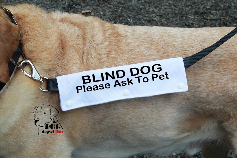 Leash sleeves Dog Leash wraps Classic Size Blind Dog Leash Etsy