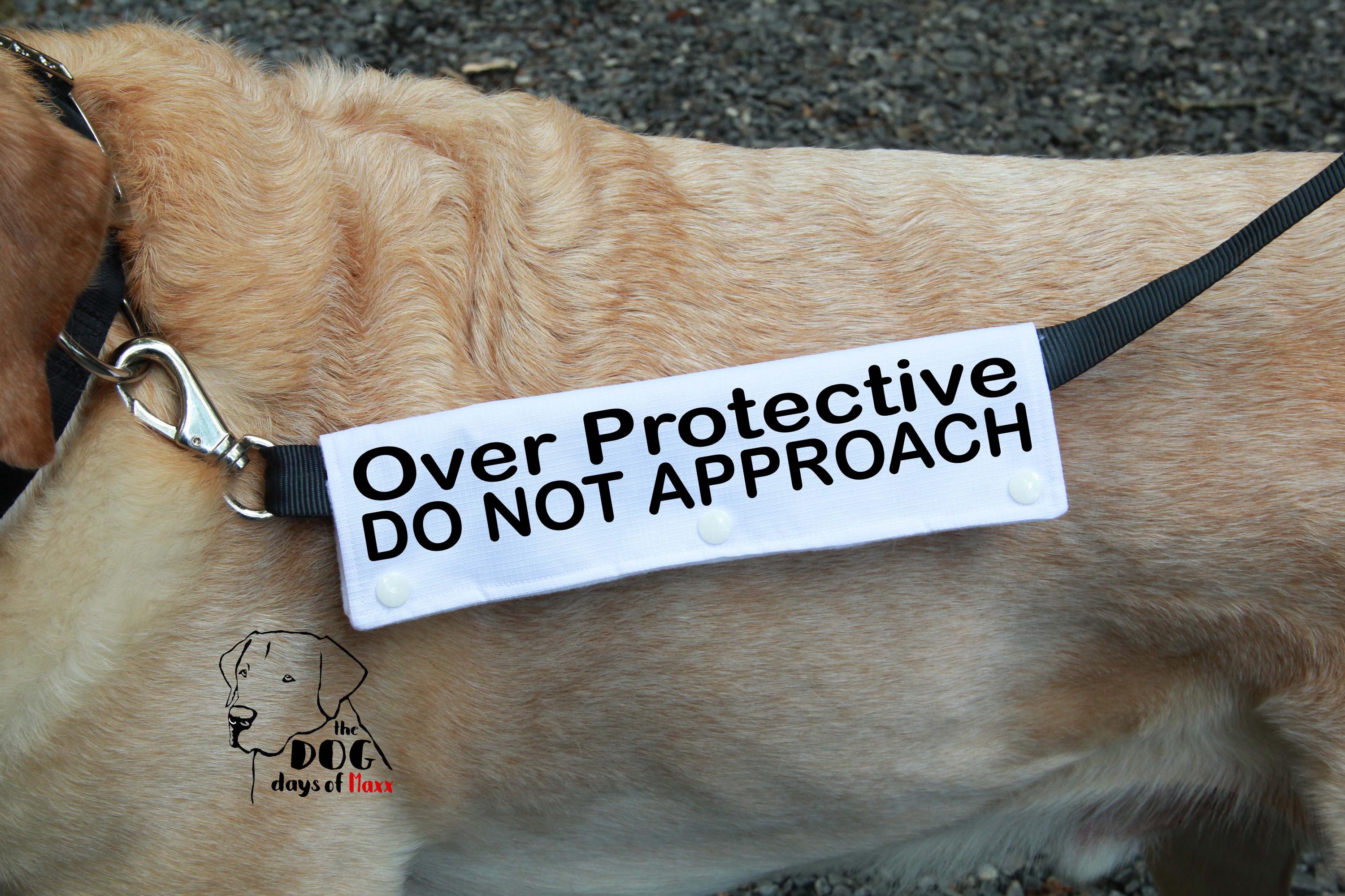 Resource Guarding Possession Aggression Dog Training Dog Training