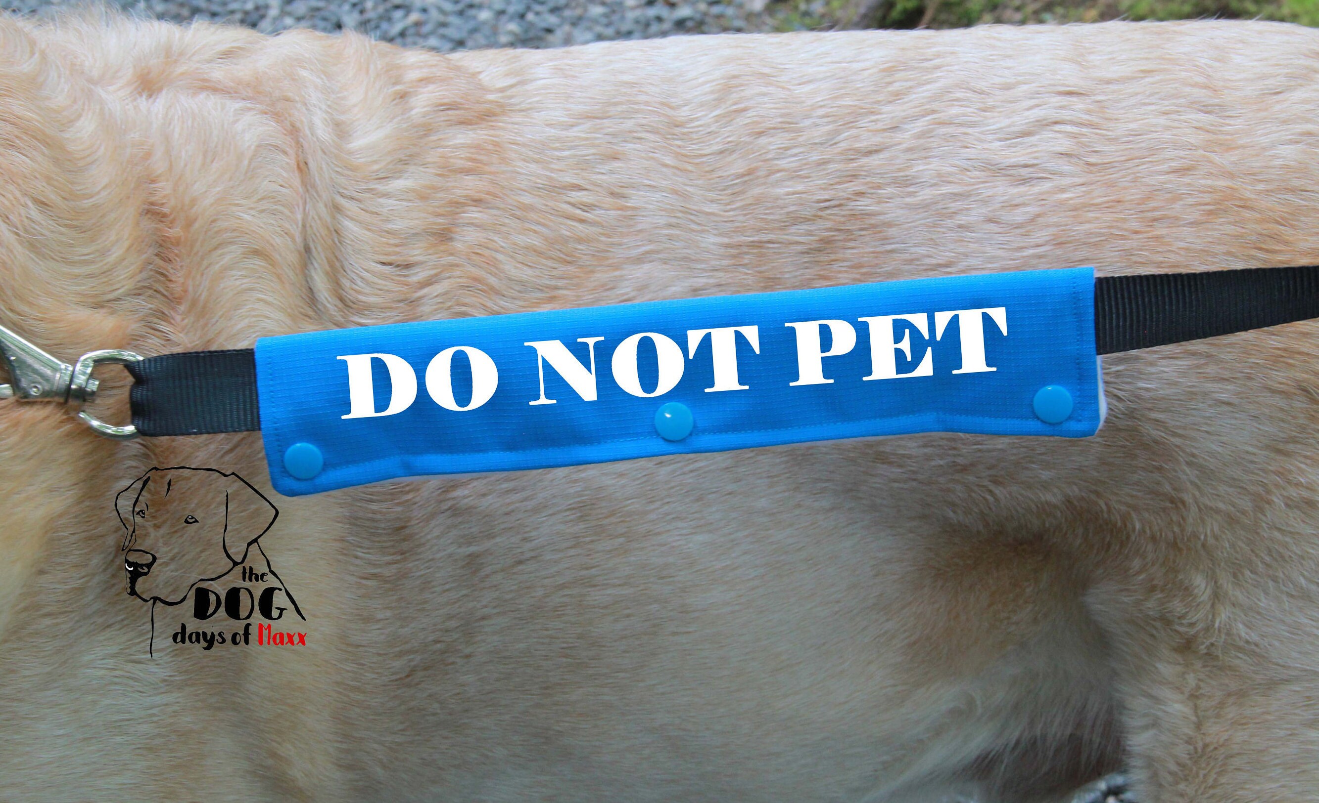 Dog Leash Sleeve DO NOT PET leash wrap 3 Size Options Do Etsy