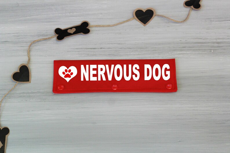 NERVOUS DOG Leash Wraps Dog Gear Nervous Dog Accessories Etsy