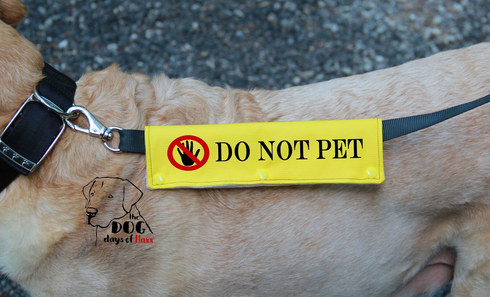 DO NOT PET Leash Wrap Classic Size Leash Sleeves Therapy Dog Etsy